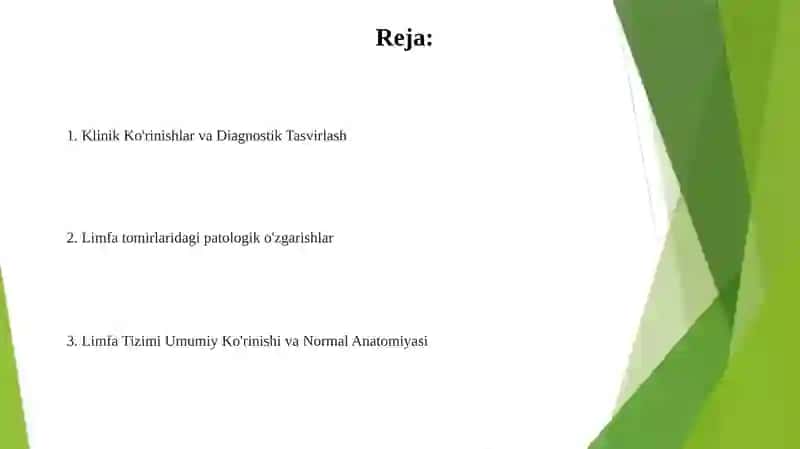 Limfa tug'un patalogik anatomiyasi 2