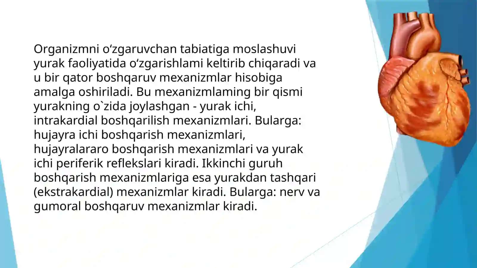 Yurak faoliyatini boshqarilishini o'ziga xosligi 2
