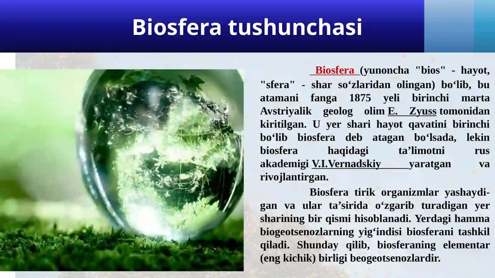 BIOSFERA. BIOSFERANING TARKIBI VA BARQARORLIGI 2