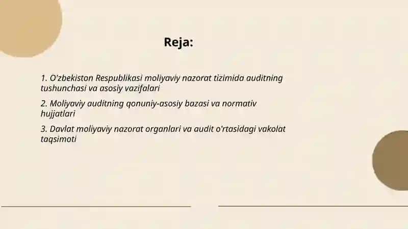 O'zbekiston Respublikasi moliyaviy nazorat tizimida auditning roli 2