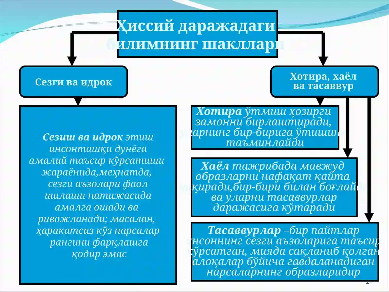 Ҳиссий даражадаги билимнинг шакллари 2