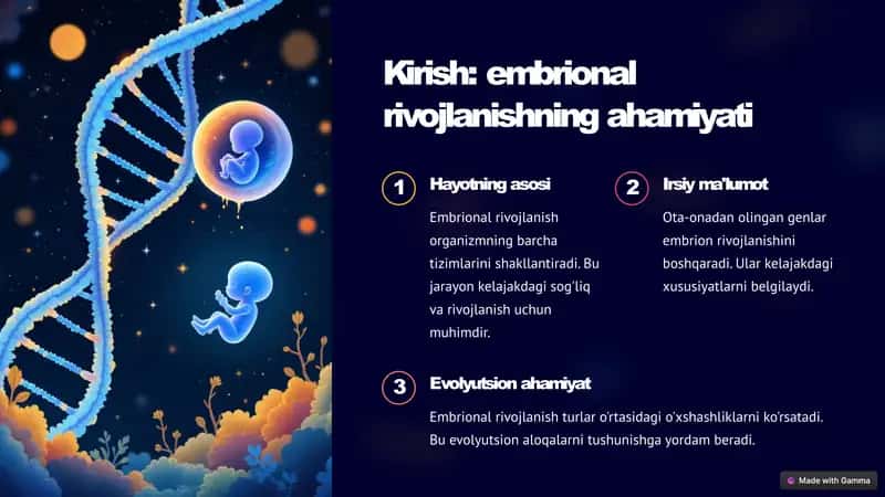 Embrional rivojlanishning umumiy qonuniyatlari 2
