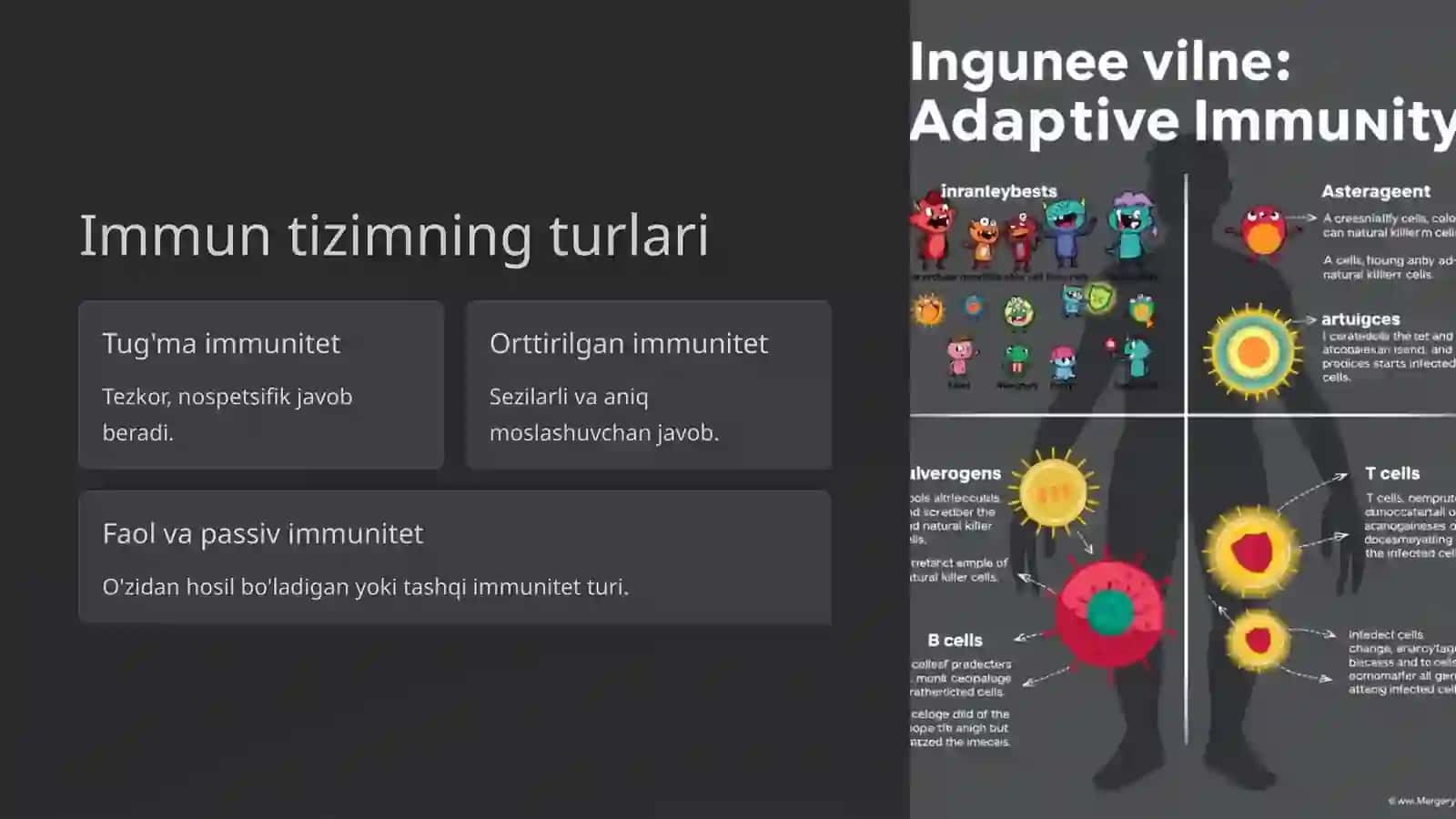 Immun tizim va uning vazifalari 2