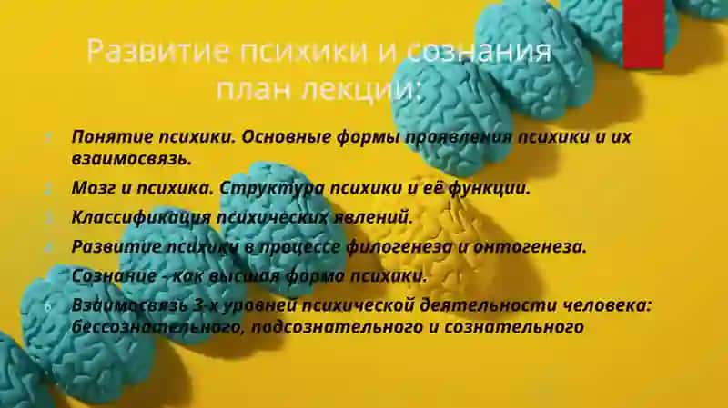 Развитие сознания и бессознательного 2