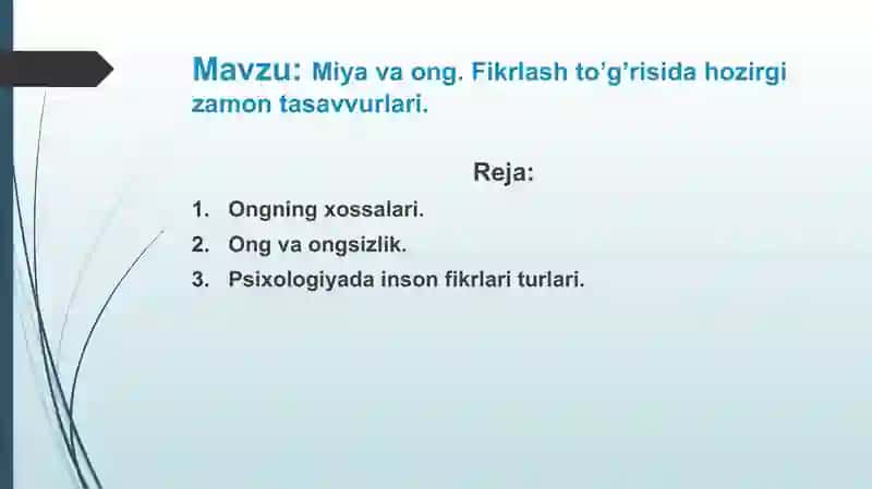 Oliy nerv faoliyati va markaziy asab sistemasi fiziologiyasi fanidan mustaqil ish. 2