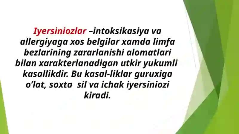 Ichak Iersinozi etiologiyasi, patogenezi va davolash 2