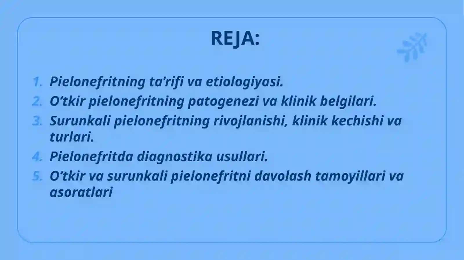 O‘tkir pielonefrit. Surunkali pielonefrit 2