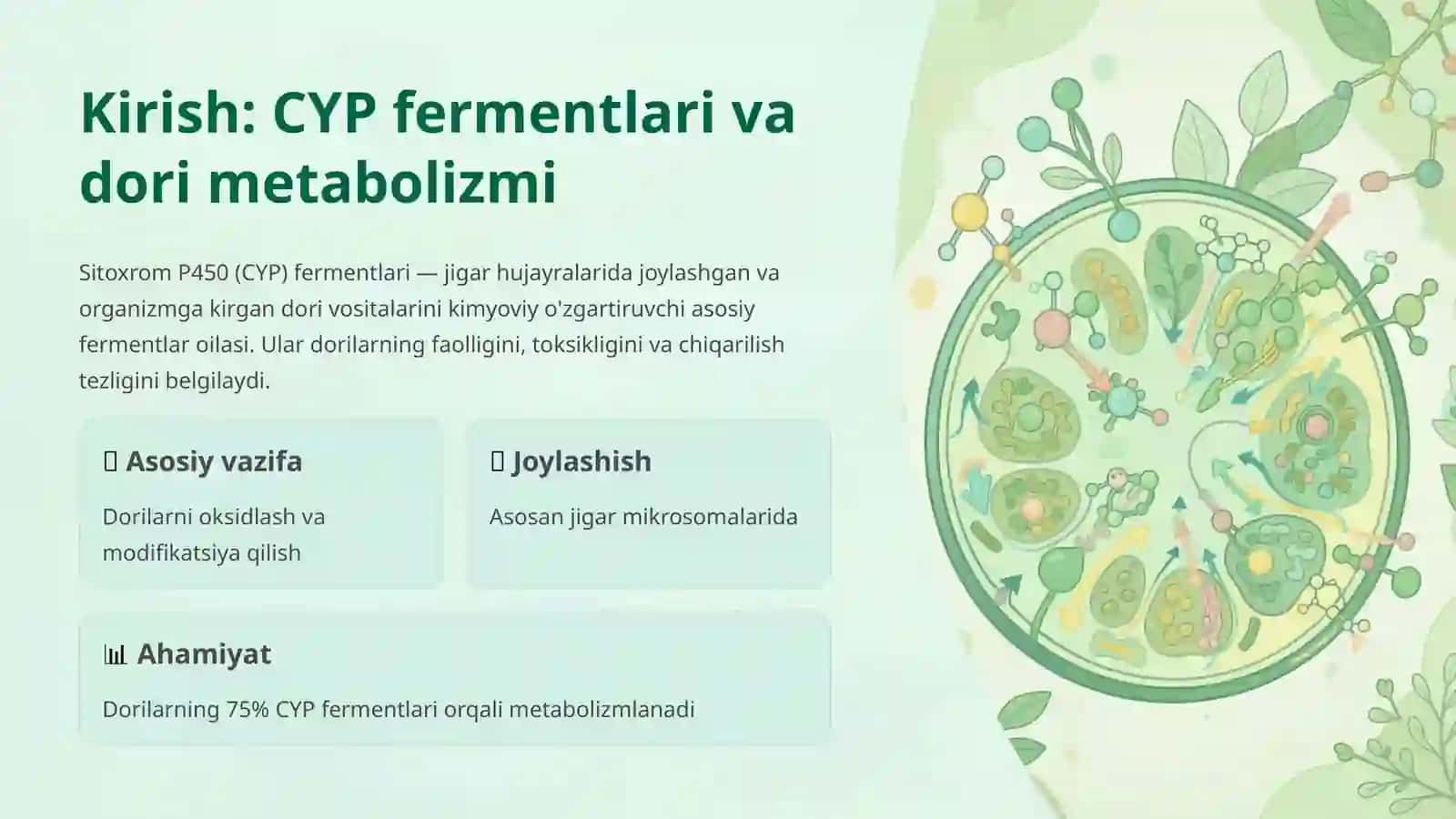 Sitoxrom P450 Gen Polimorfizmi 2