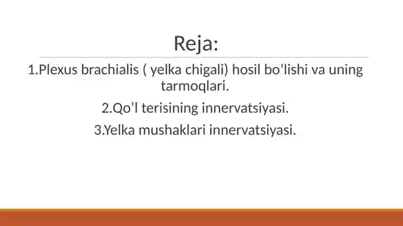 yelka chigalining hosil bo'lishi 2