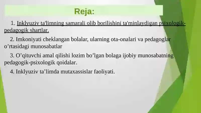 Inklyuziv ta’limning psixologik-pedagogik va tashkiliy shartlari 2
