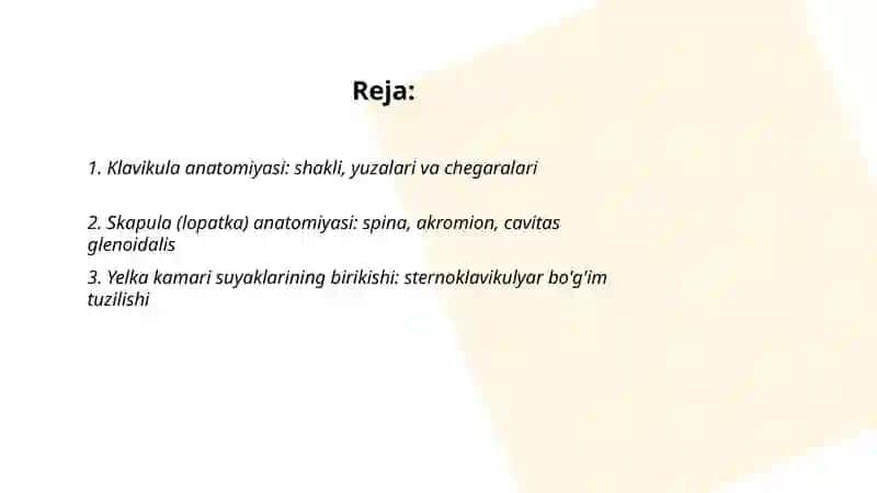Yelka kamari suyaklari va ularning birikishi. Qo'lining erkin suyaklari tuzilishi 2