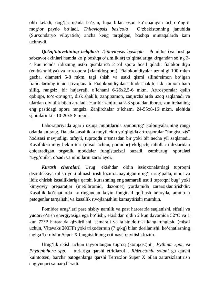 Pomidor kasalliklari va ularga qarshi kurash choralari 2