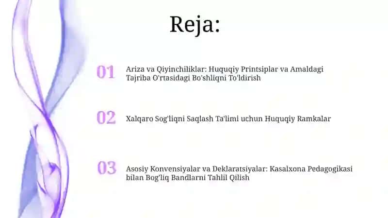 Xorijiy mamlakatlarda gospital pedagogikaning huquqiy asoslarini xalqari hujjatlarda tahlil qilish 2