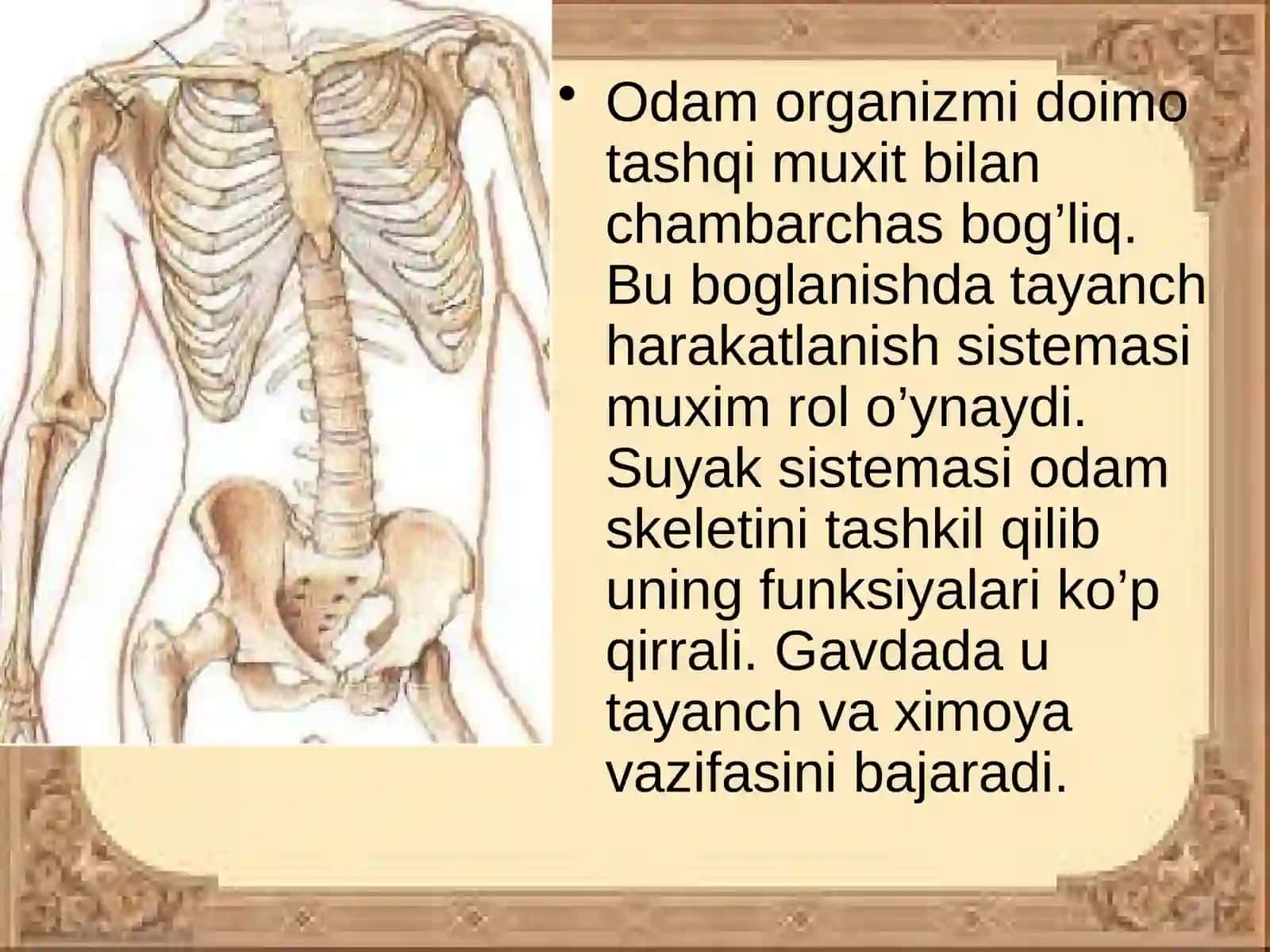 SUYAKLARTUZILISHI 2