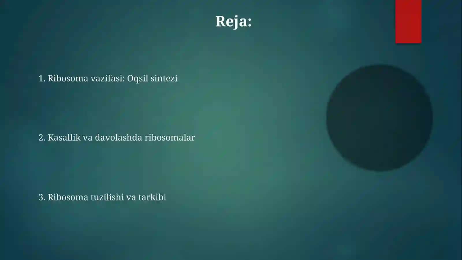 Ribosoma tuzilishi va vazifalari 2