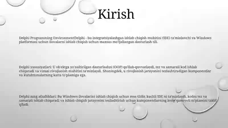 Delphi Dasturlash Muhiti 2