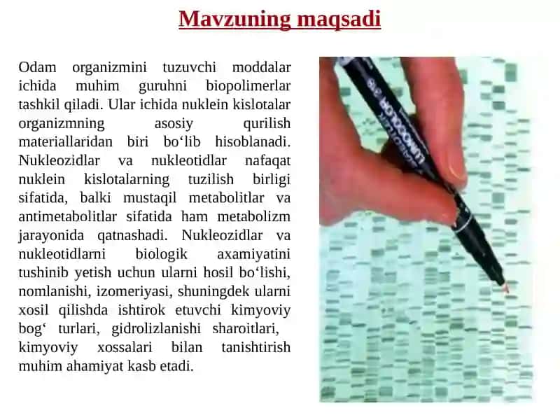 Nuklein kislotalar. Nukleozidlar. Nukleotidlar. Nuklein kislotalar tuzilishi. 2