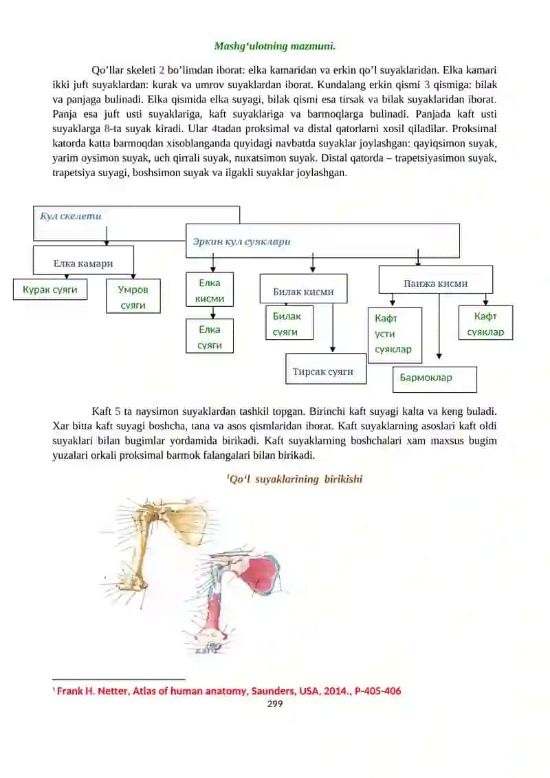Qism: Osteosindesmologiya Amaliy mashg’ulot №3 2