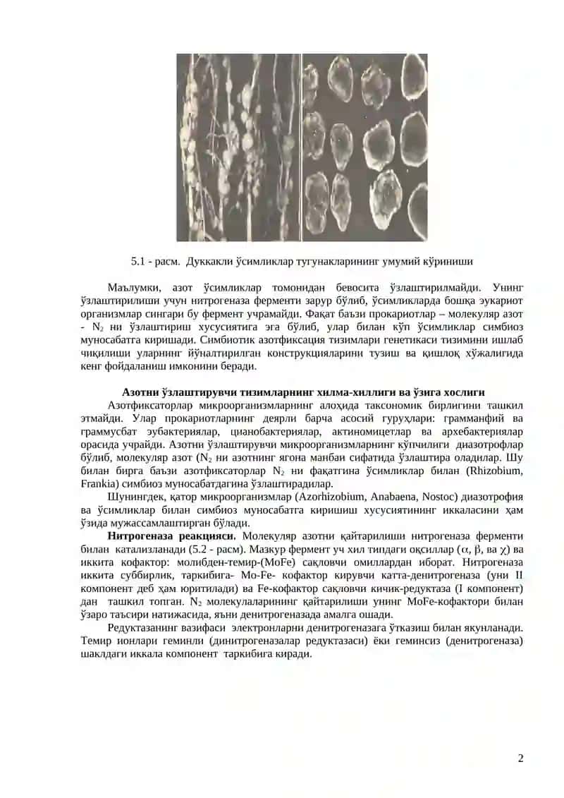 Тупроқ унумдорлигини оширишда биотехнология 2