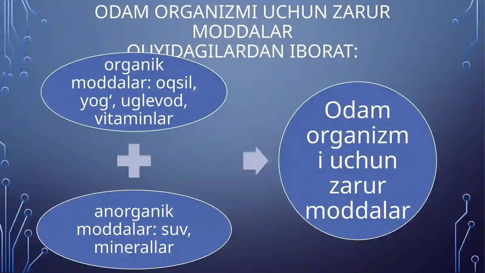 ODAMNING OVQAT HAZMQILISH SISTEMASI 2