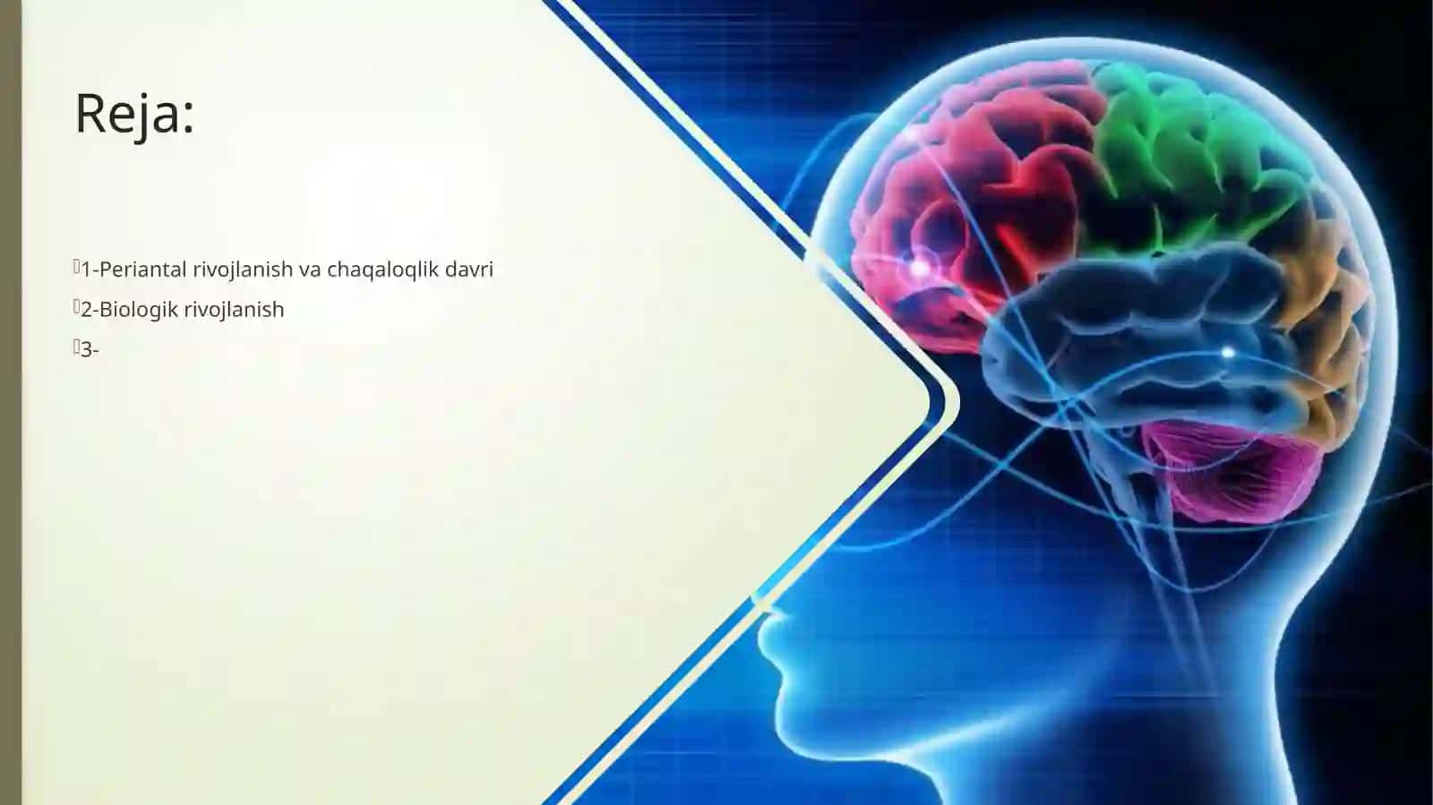 Perinatalvachaqaloqlikdavridapsixafiziologikrivojlanishiga xos xususiyatlari 2