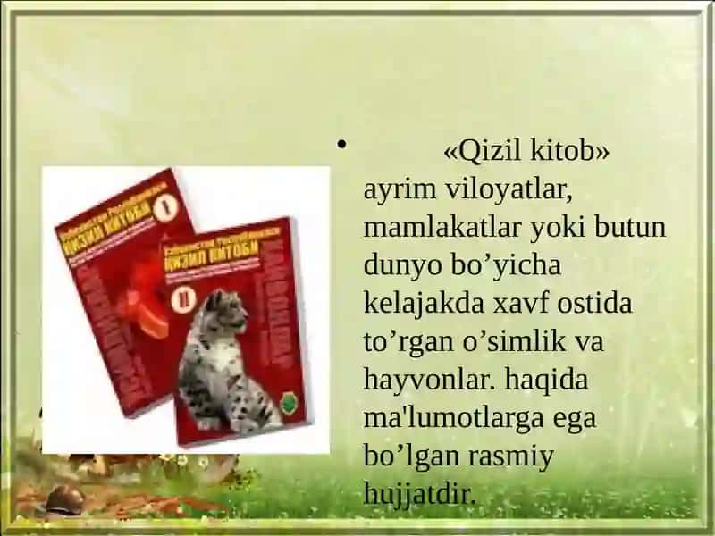 Qizil kitob 2