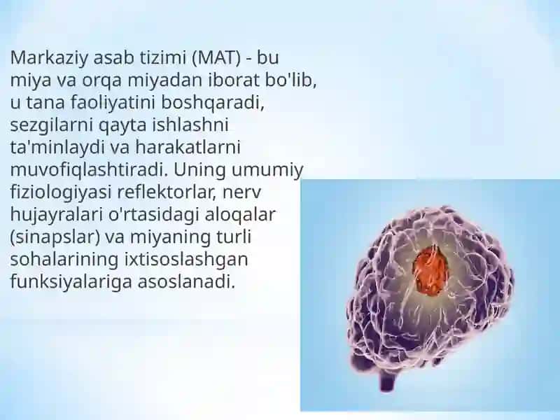Markaziyasabtizimi(MAT) 2