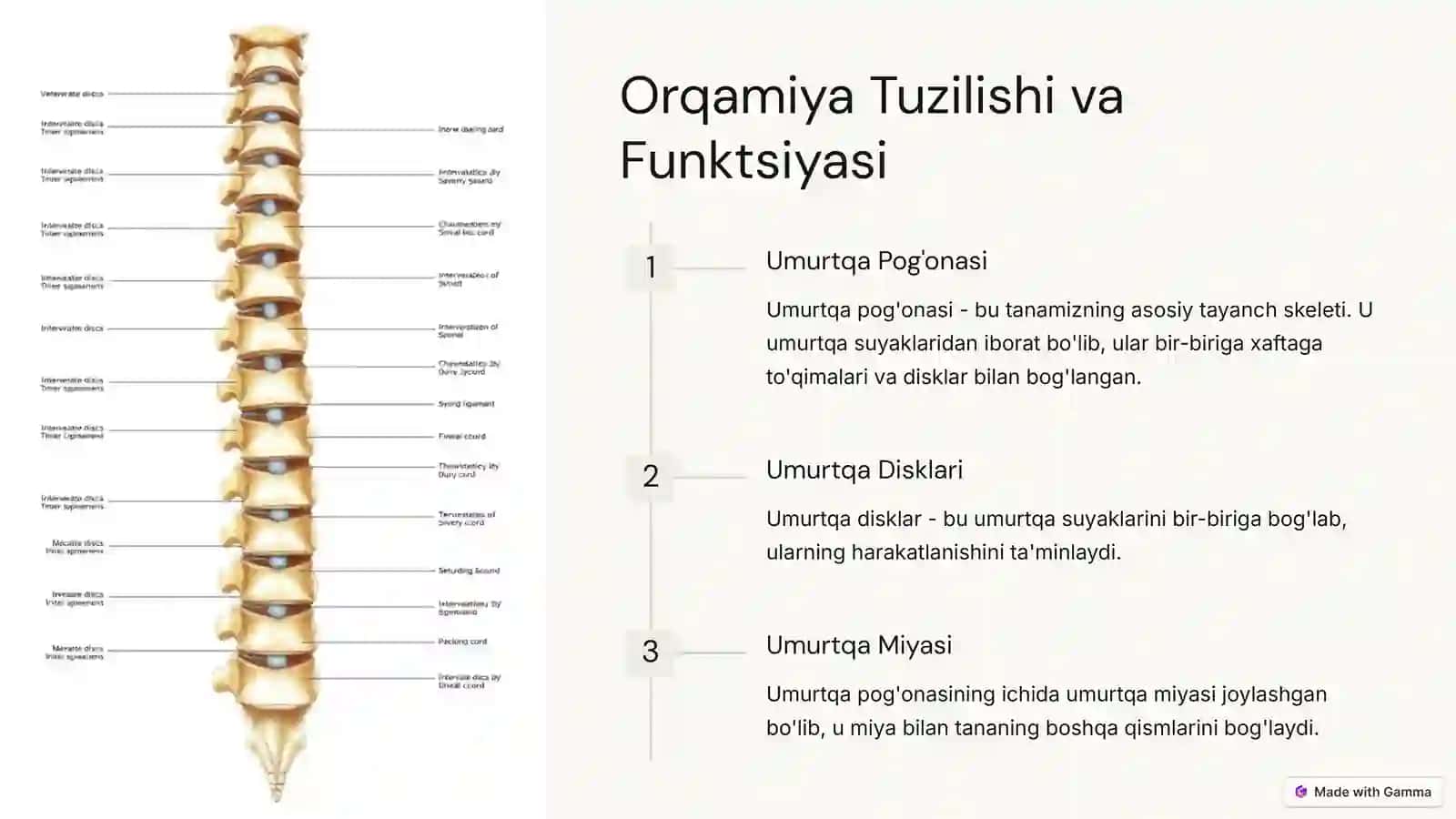 Orqamiya degenerativ va distrofik kasalliklari 2