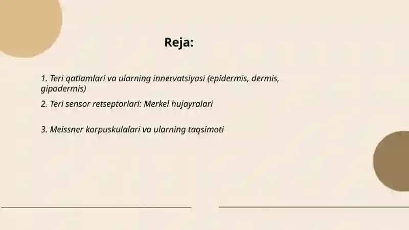 Teri va uning innervatsiya zonalari 2