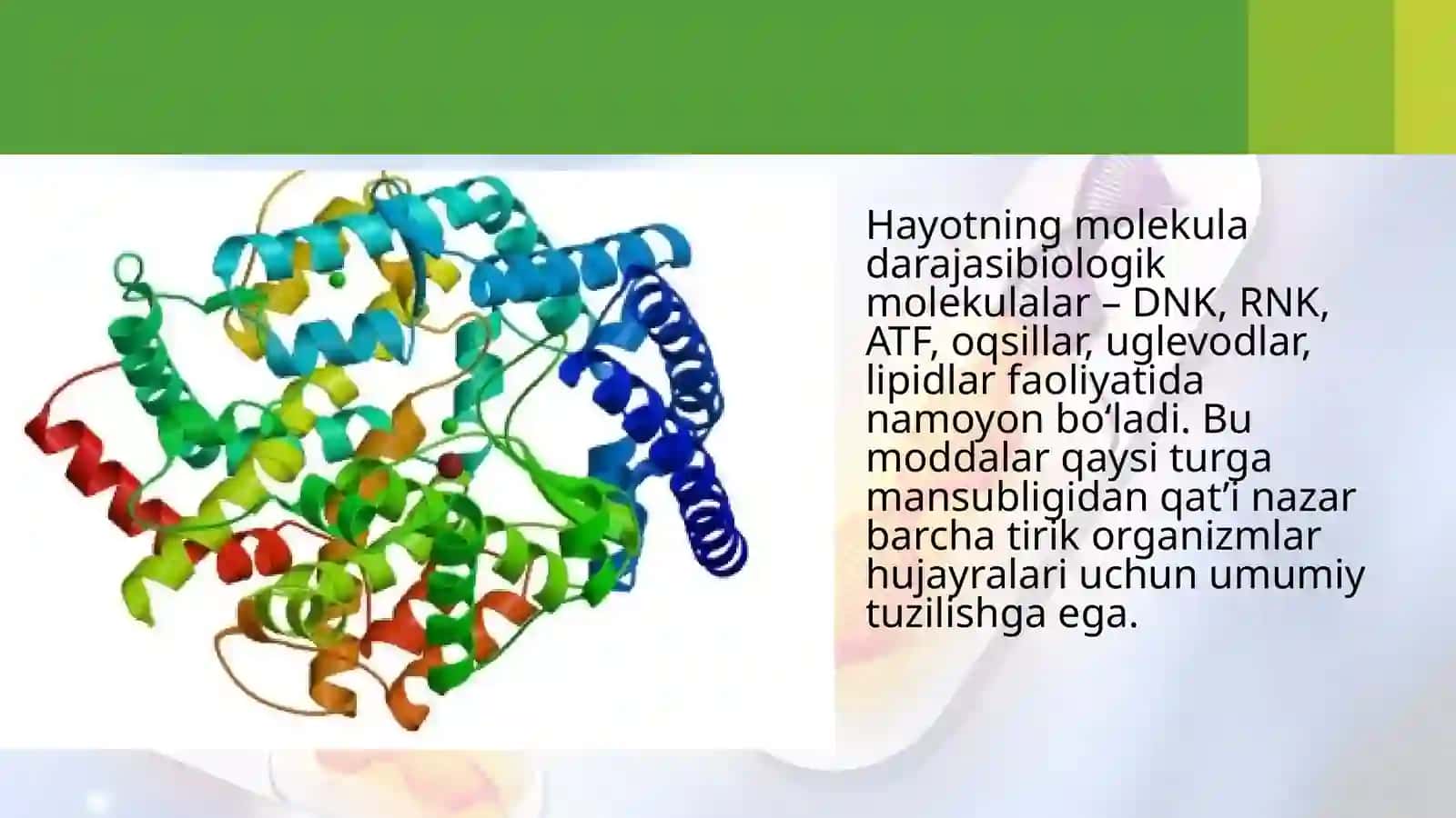 Uglevodlar va lipidlar 2