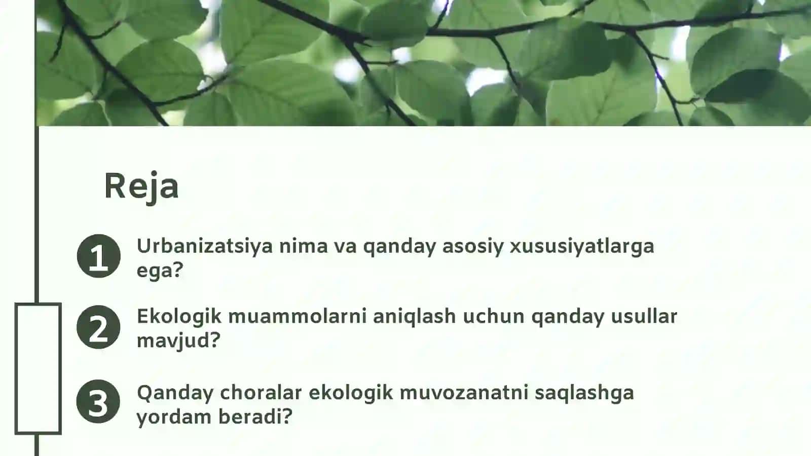 Urbanizatsiya va ekologik muammo 2