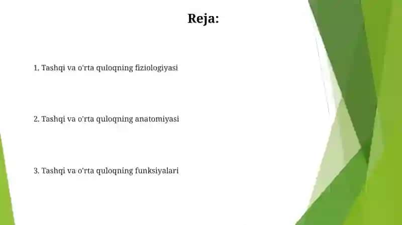 Tashqi va o'rta quloq anatomiyasi 2