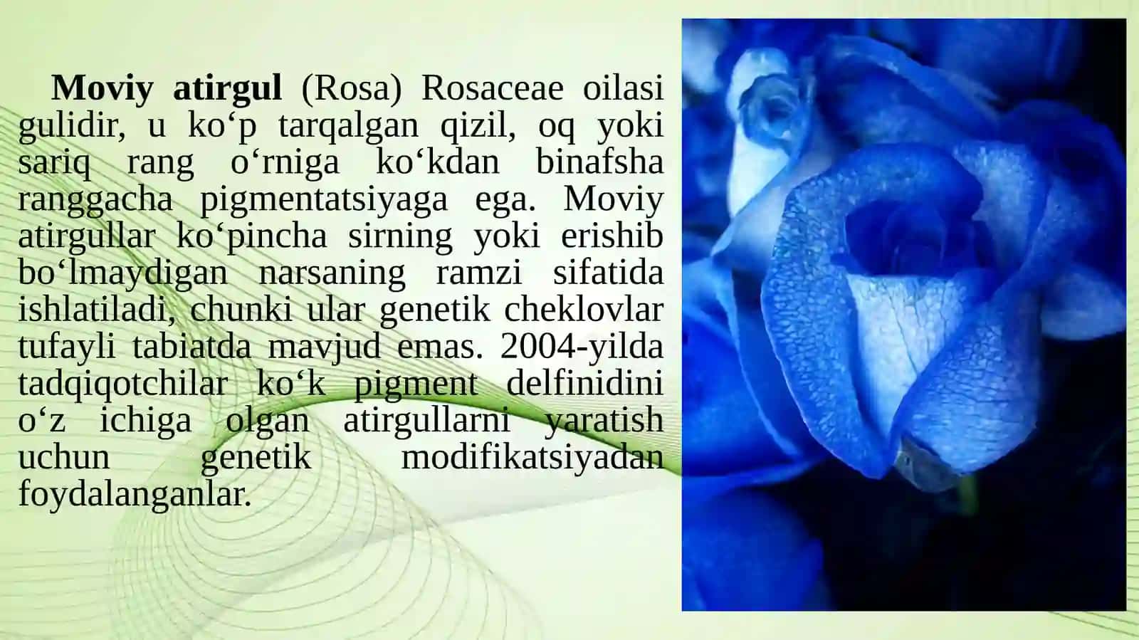 Manzarali dorivor o’simliklar 2
