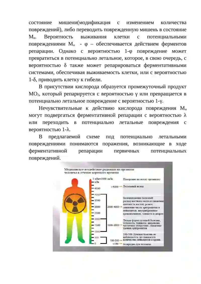 ЗАЩИТА ОРГАНИЗМА ОТ ИОНИЗИРУЮЩЕГО ИЗЛУЧЕНИЯ 2