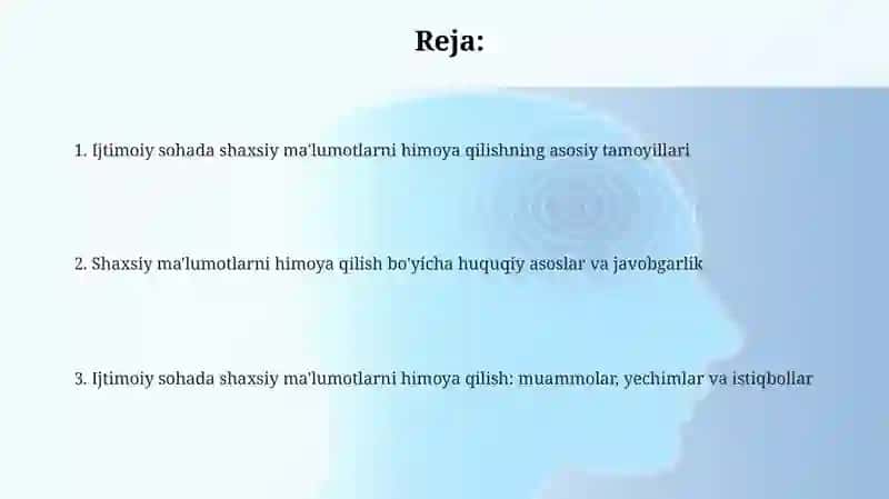 Ijtimoiy sohada shaxsiy ma'lumotlarni himoya qilish tamoyillari 2