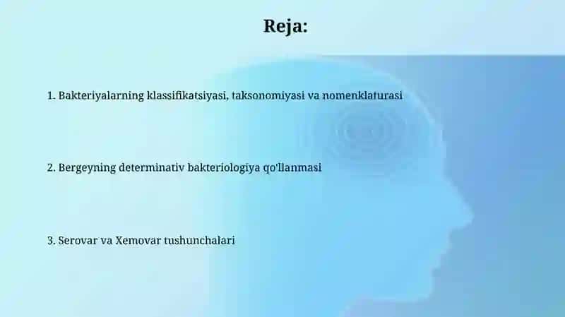 Bakteriyalarning klassifikatsiyasi, taksonomiyasi va nomenklaturasi 2