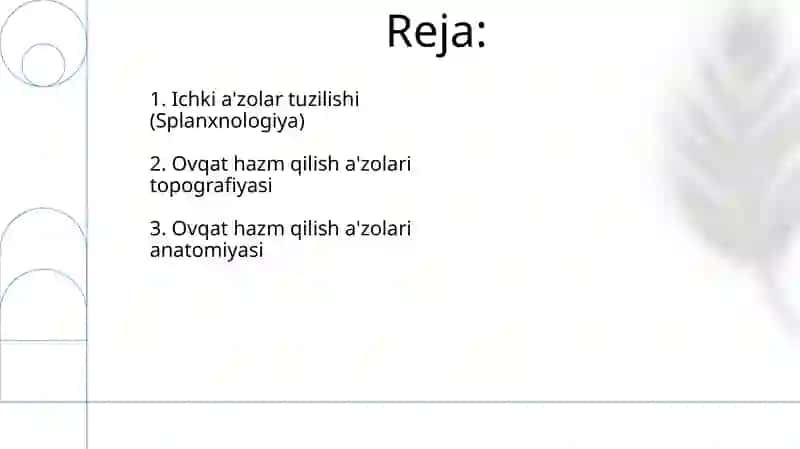 Ovqat hazm qilish a'zolari anatomiyasi 2