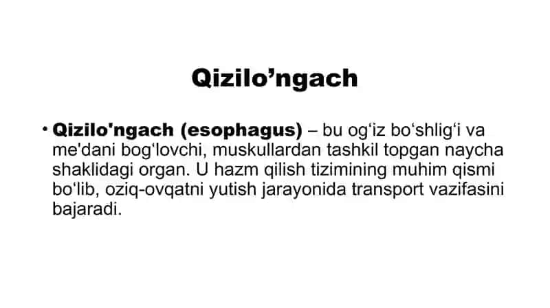 Qizilo’ngach 2