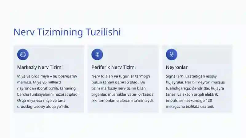 Nerv Tizimi: Hayotimizning Murakkab Aloqa Markazi 2