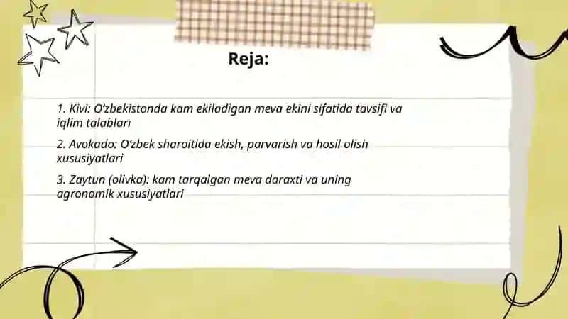 Kivi 2