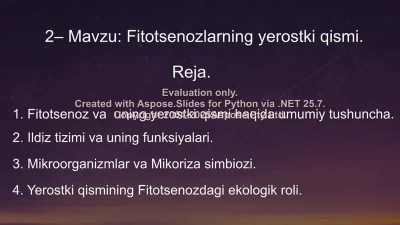 Fitotsenozlar va Yerostki Qismi 2
