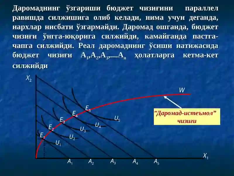 Даромад-истеъмол” чизиғи ва унинг таҳлили 2