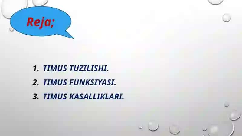 TIMUS TUZILISHI, RIVOJLANISHI VA VAZIFASI. 2