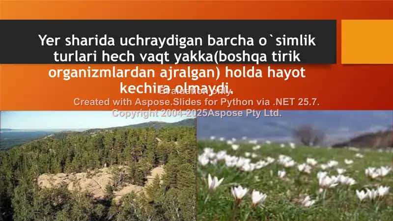 O’simliklarning mintaqalar bo’yicha taqsimlanishi 2
