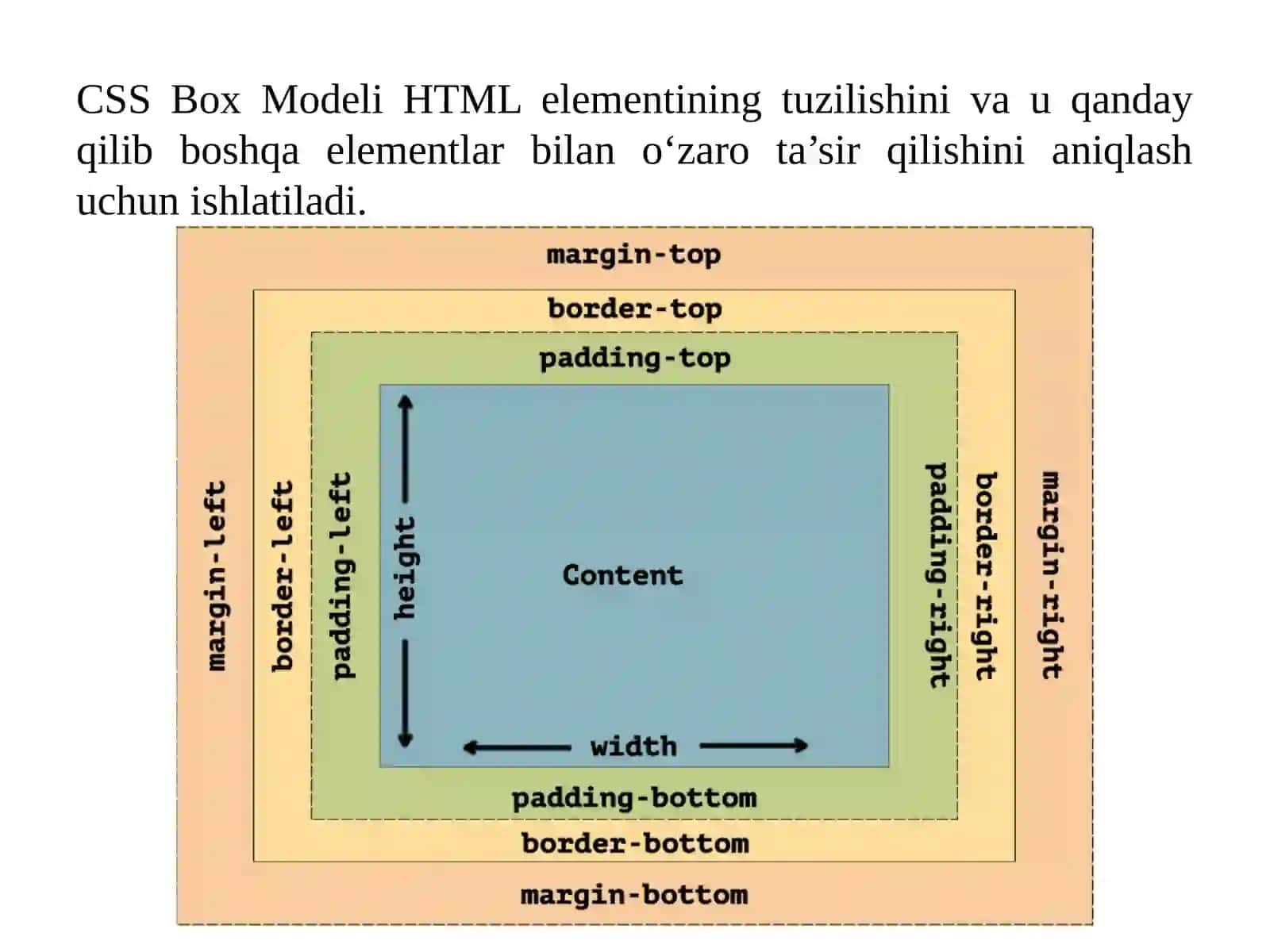 Boxmodeli. Margin, paddingvaborder.Blok elеmеntlari umumiy konsеpsiyalari 2