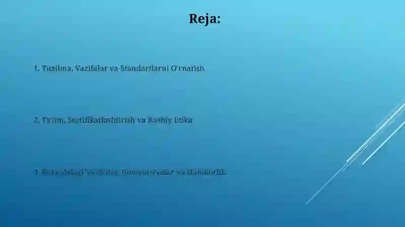Xalqaro buxgalterlar federatsiyasining funksiya va vazifalari 2