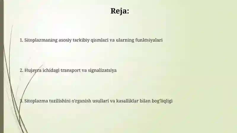 Sitoplazmaning strukturasini oʻrganish 2