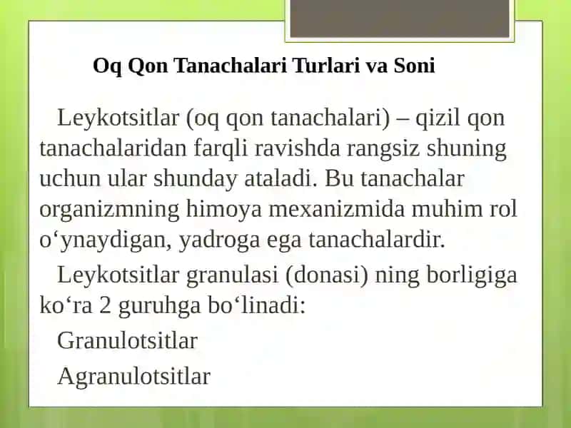 OQ QON TANACHALARI 2