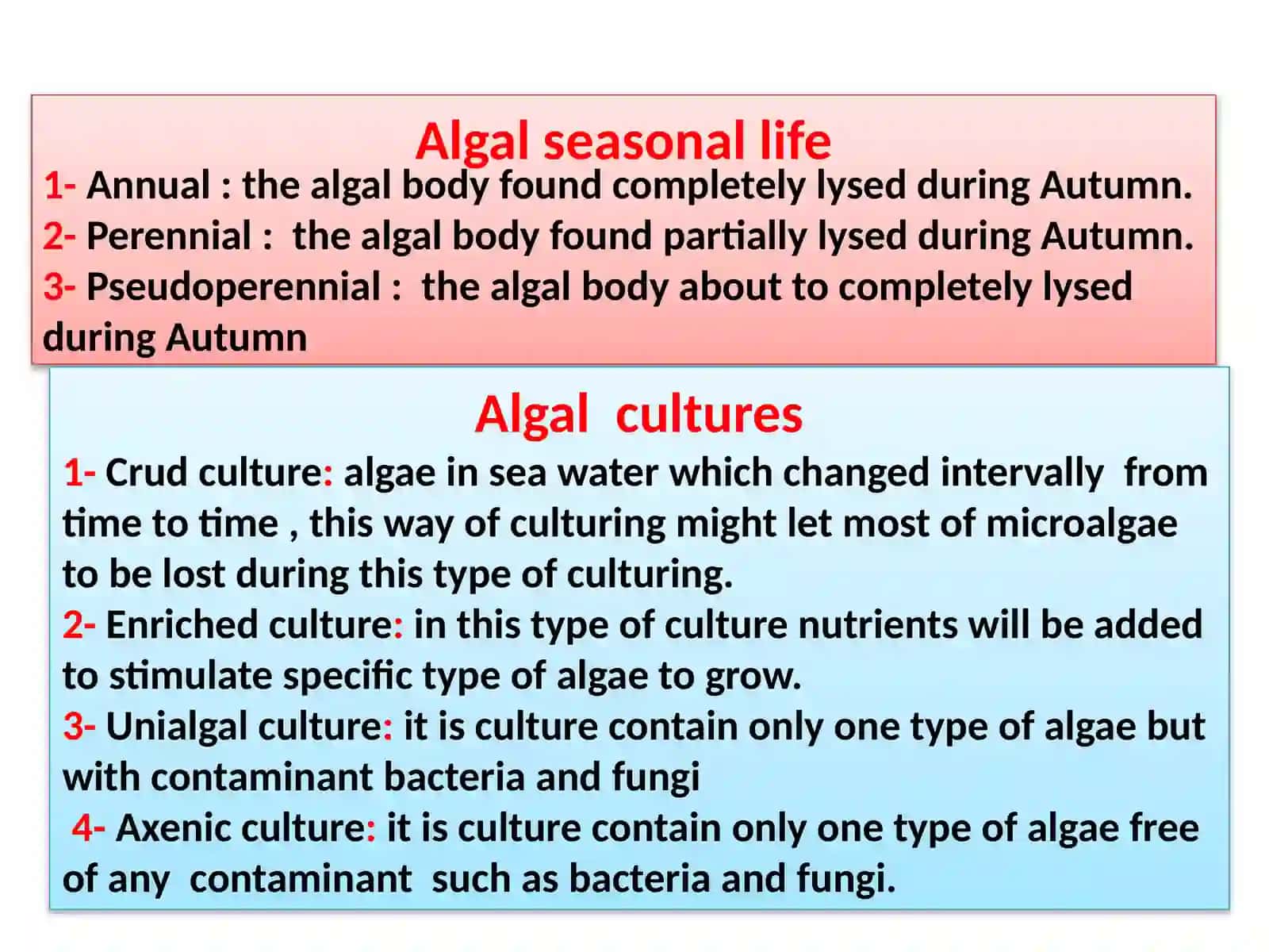 Algae Growth and Seasonal Life 2