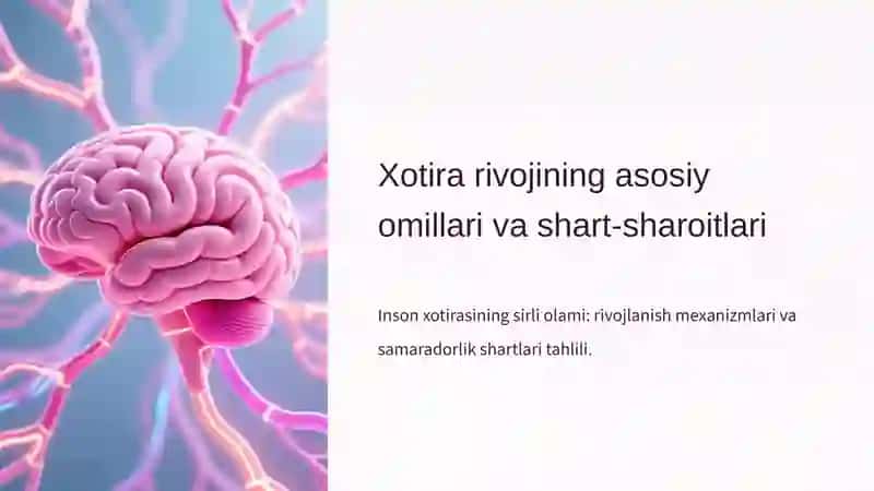 Xotira rivojining asosiy omillari va shart-sharoitlari 2